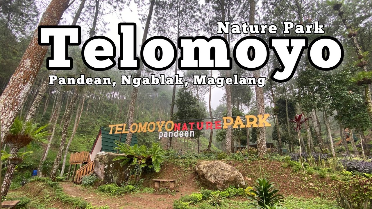 Telomoyo Nature Park: Surga Alam di Lereng Gunung Telomoyo